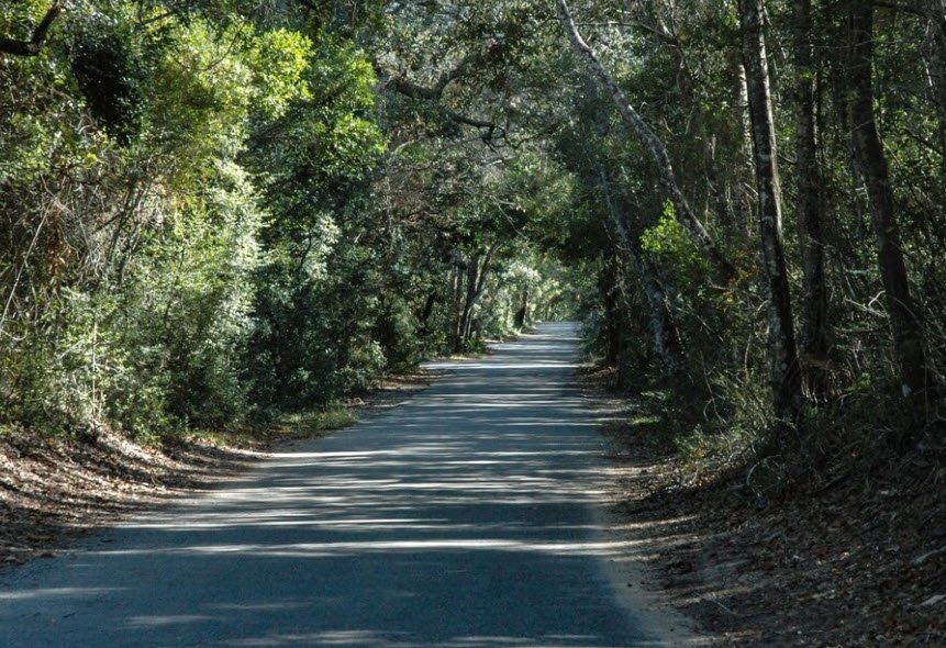 Manuel F. Correllus State Forest, Massachusetts, USA